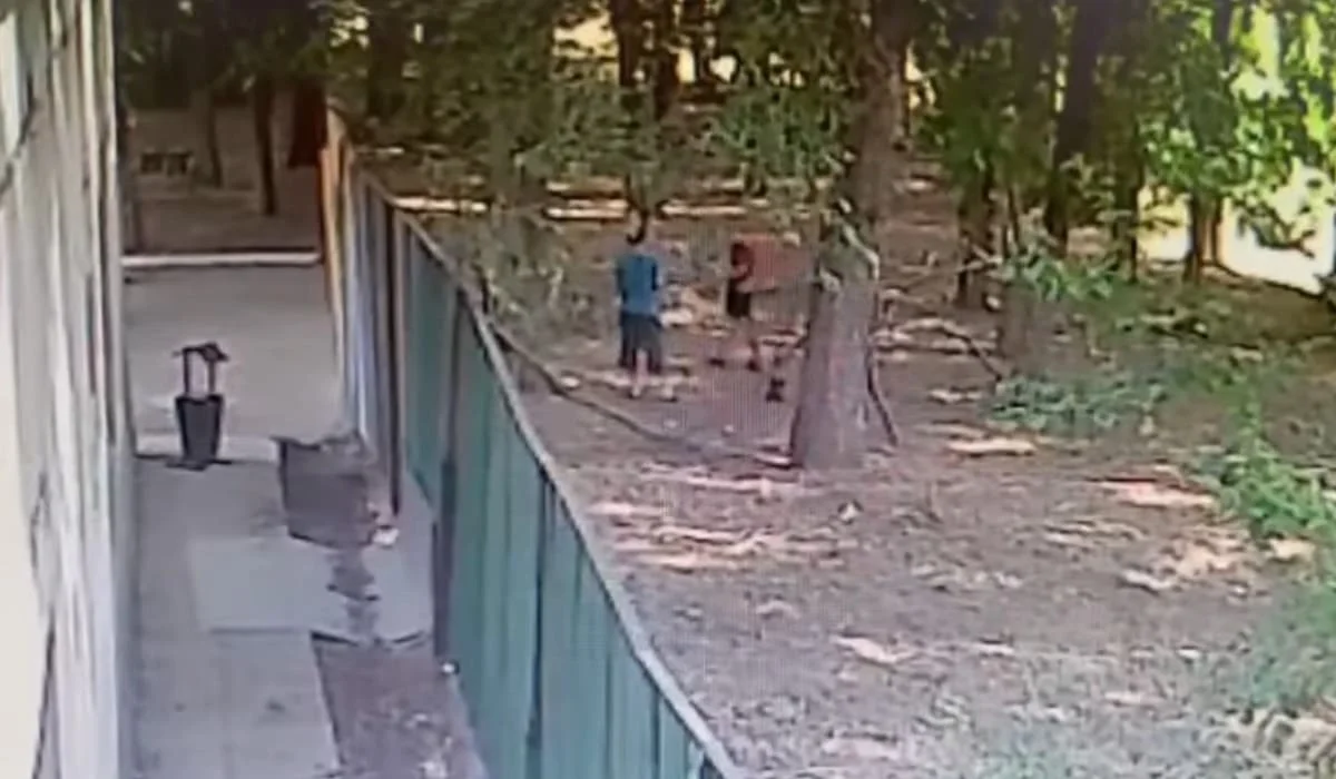 Нападение собак на мальчика близ Алматы: в соцсети появилось видео
