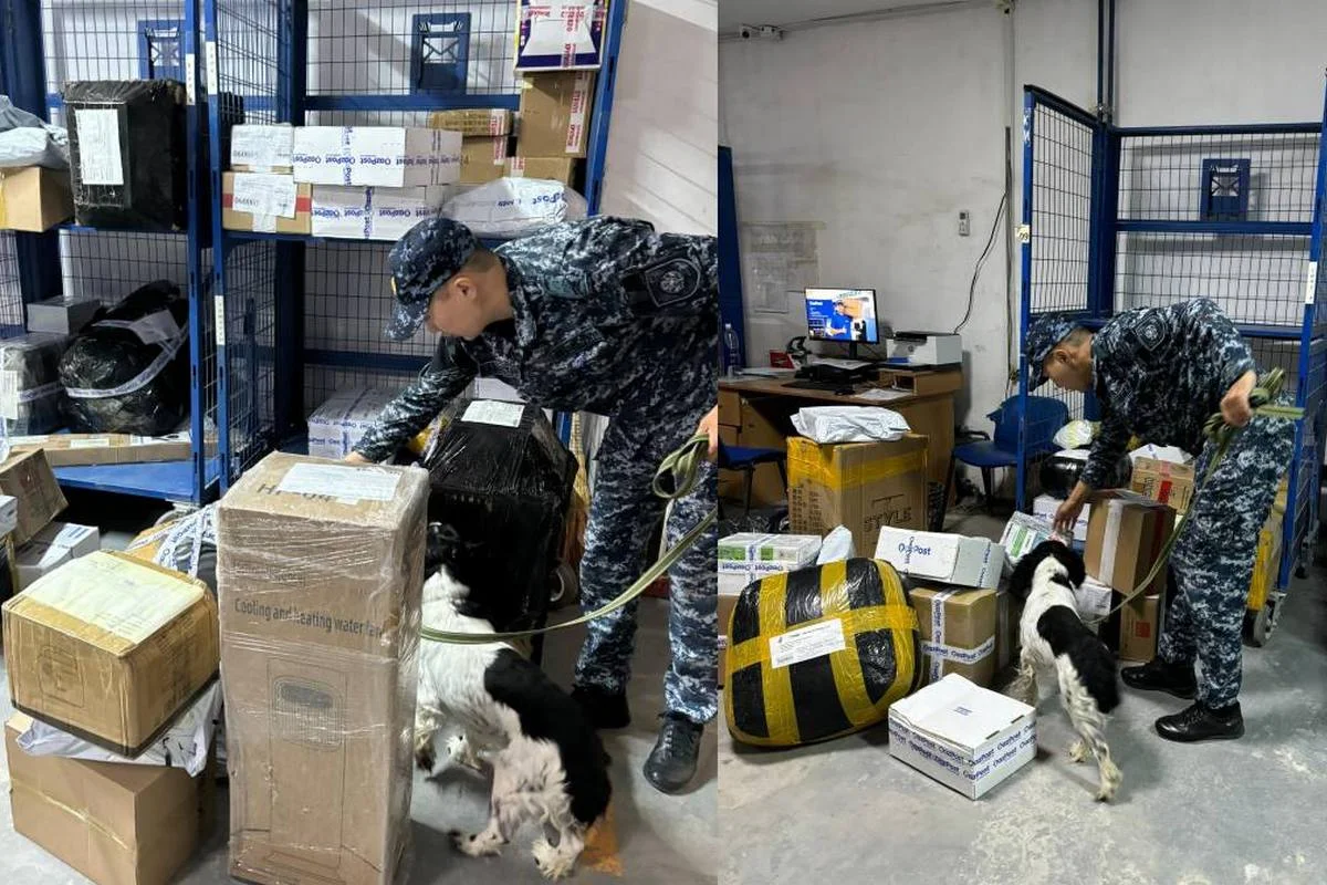 Кинологи с собаками проверили посылки в отделении почты в Атырау