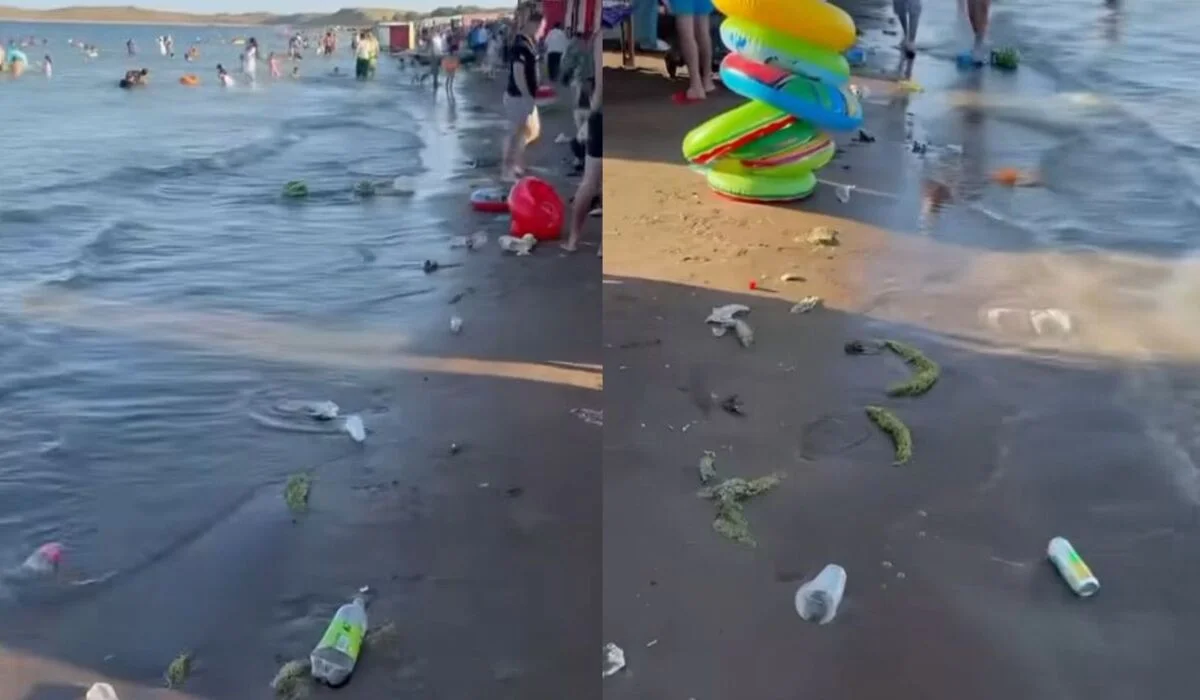 «Так развивают туризм?»: шардаринское водохранилище утопает в мусоре (ВИДЕО)