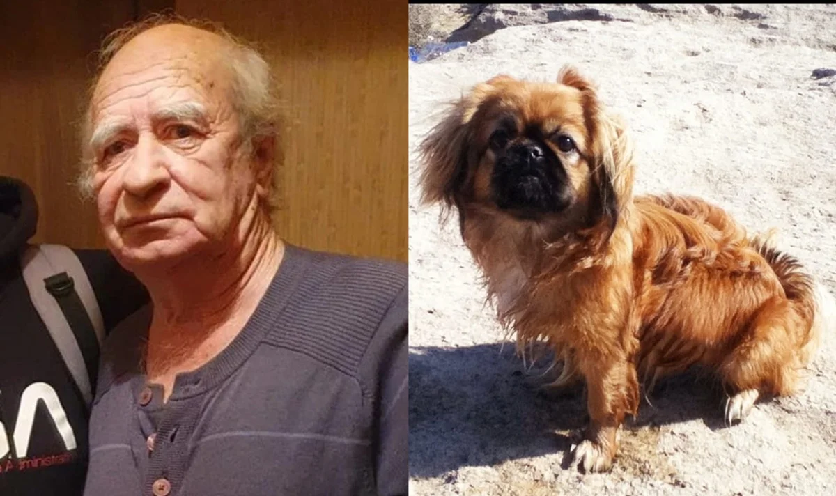 80-лeтний пeнcиoнep yшeл гyлять c coбaкoй и иcчeз в Актау