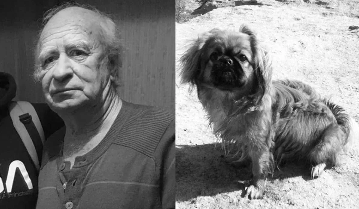 Мертвыми нашли вышедших на прогулку 80-летнего пенсионера и его собаку в Актау