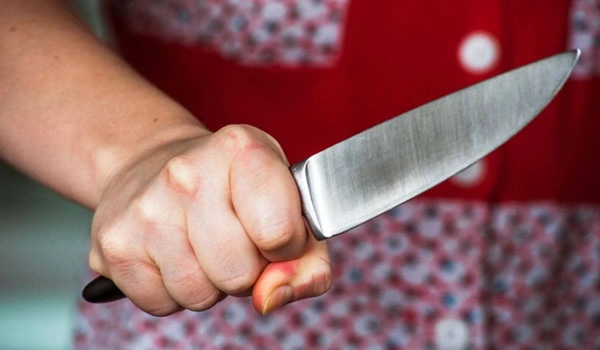 Женщина пырнула девочку ножом в живот на севере Казахстана