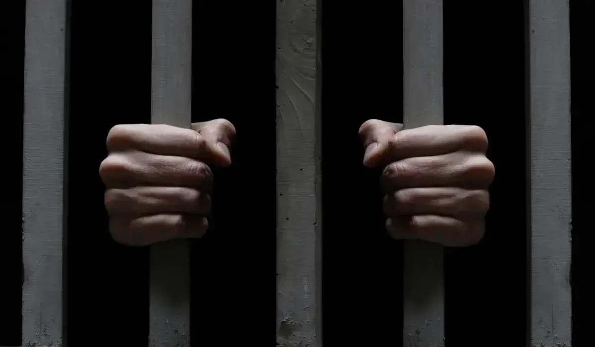 Алматинец получил 16 лет тюрьмы за посылку с сыром из Таиланда