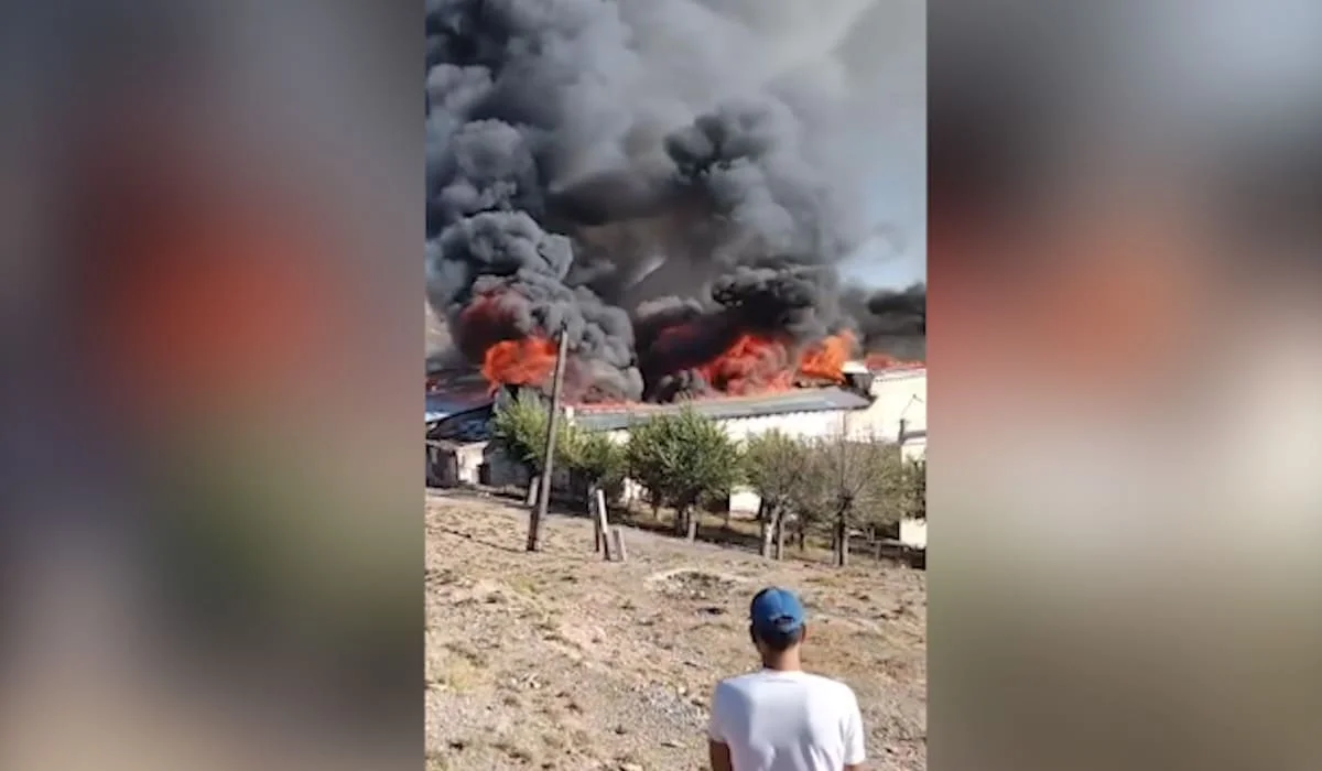 Крупный пожар сняли на видео на юге Казахстана: сгорел Дом культуры
