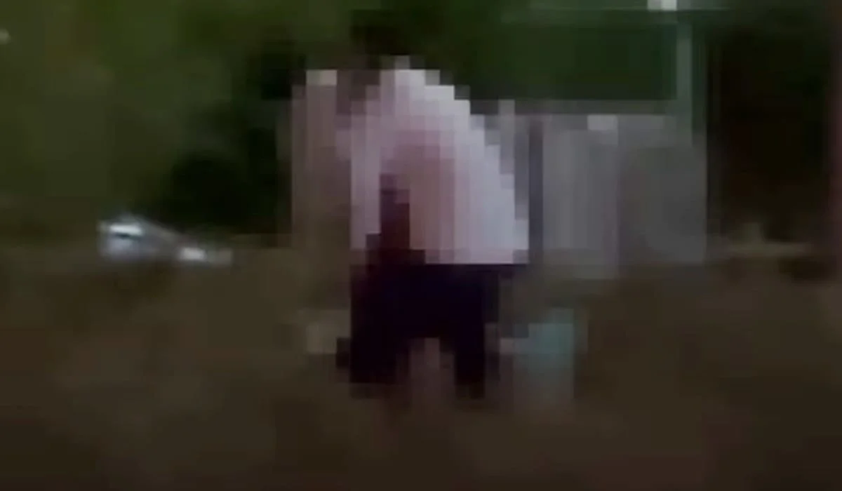 Занимающуюся сексом на детской площадке парочку сняли на видео в Темиртау