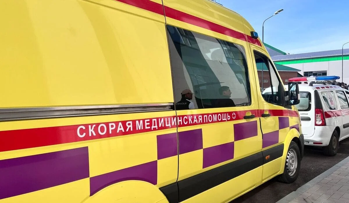 Упавшая ветка дерева убила девушку на улице в Алматы