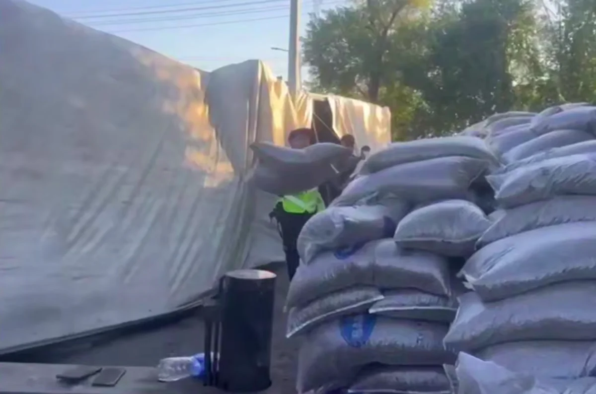 Фура с 35 тоннами семечек опрокинулась на трассе в области Жетысу (ВИДЕО)