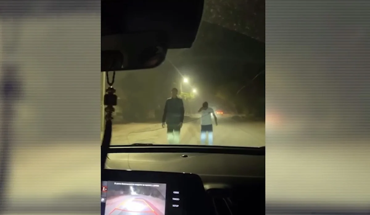 Дорожная провокация в Алматы: супруги сняли нападение в темном переулке (ВИДЕО)