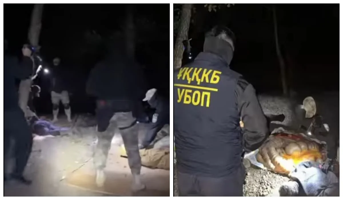 Скотокрадов задержали с поличным при разделке лошади в Актюбинской области (ВИДЕО)