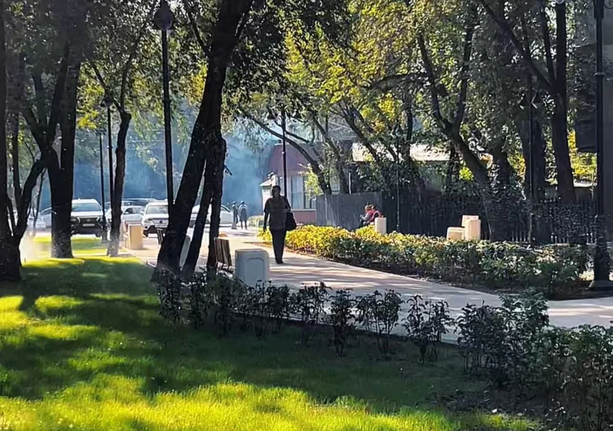 Ко Дню города в Алматы открылась новая пешеходная зона