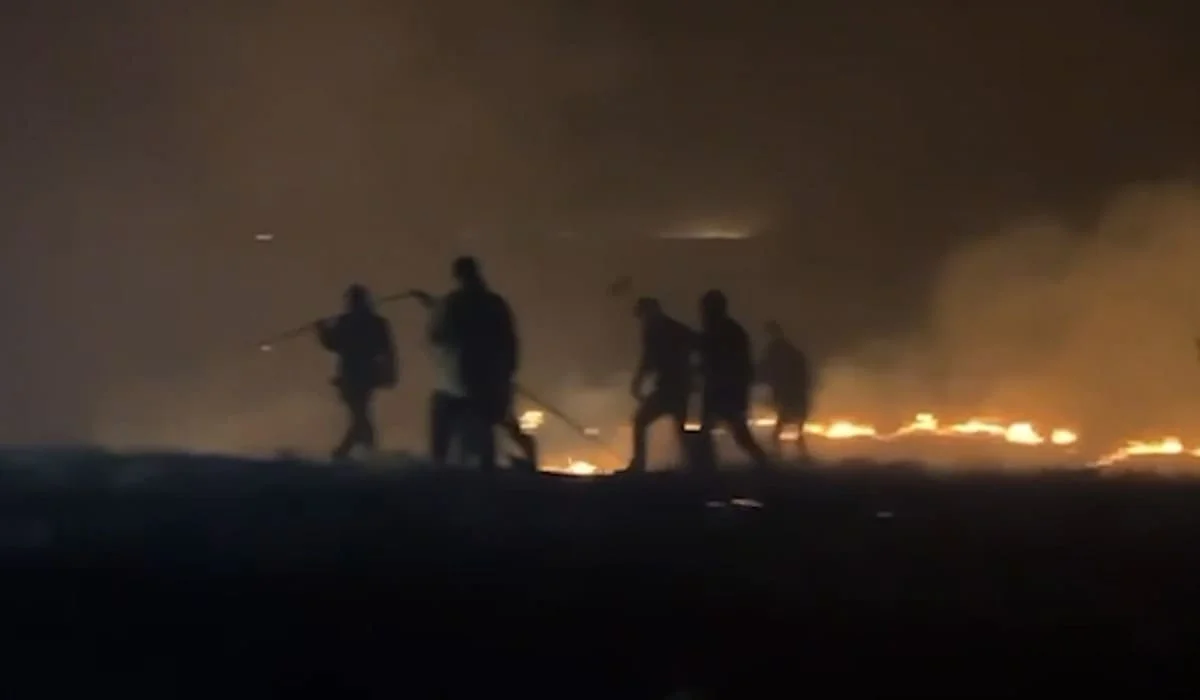 Пожар охватил 575 гектаров степи в Актюбинской области (ВИДЕО)