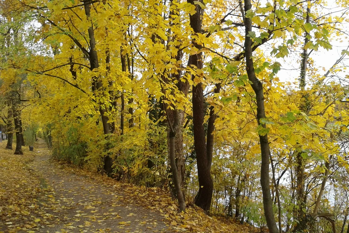 До минус 2 градусов: прогноз погоды по городам Казахстана на 5 октября