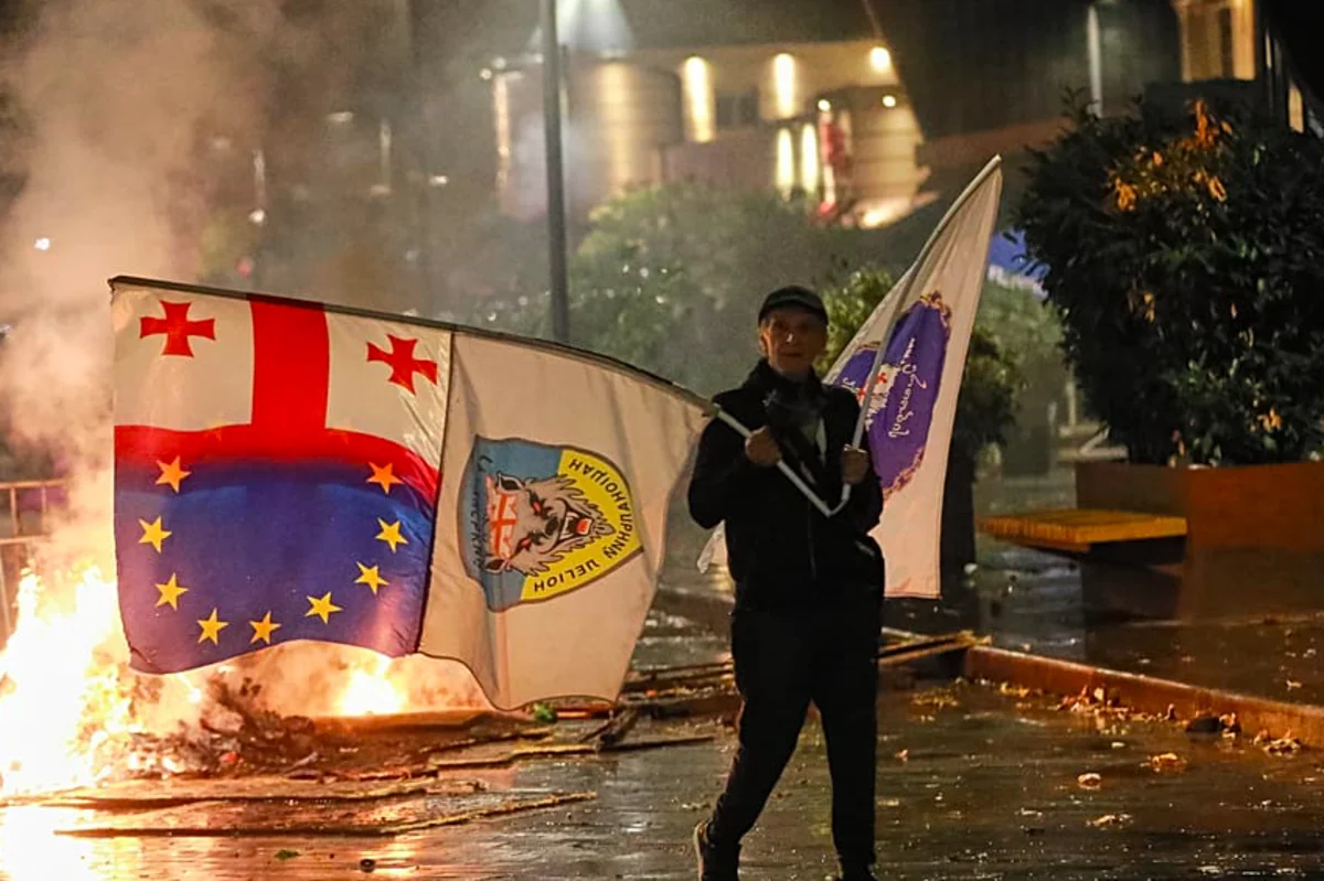 Выборы в Грузии: задержаны организаторы протестов (ВИДЕО)