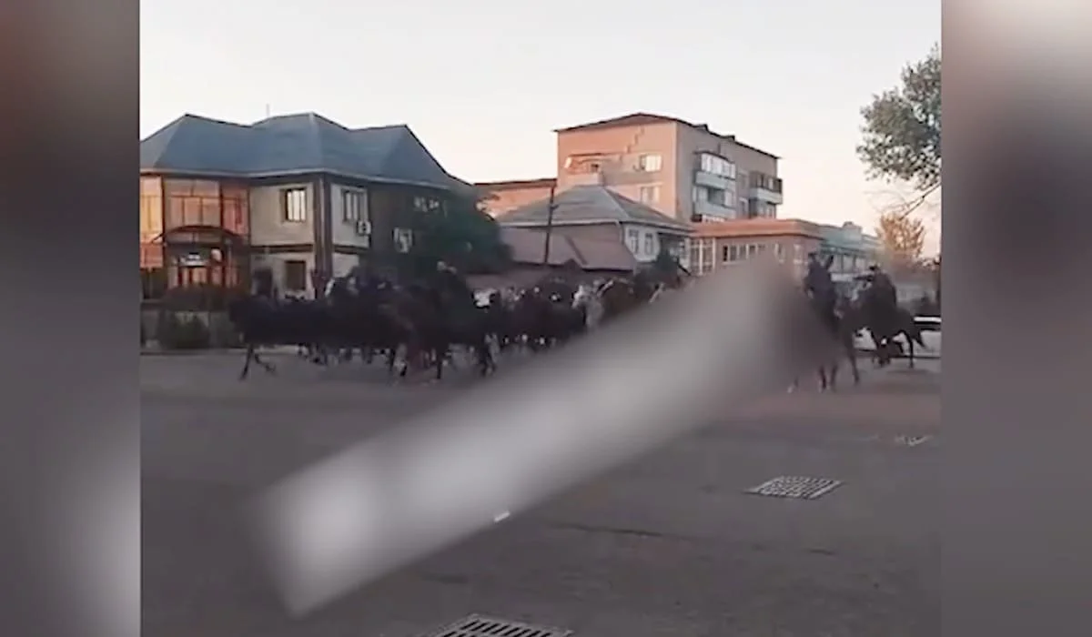 Всадники устроили массовый забег по улицам Жаркента (ВИДЕО)