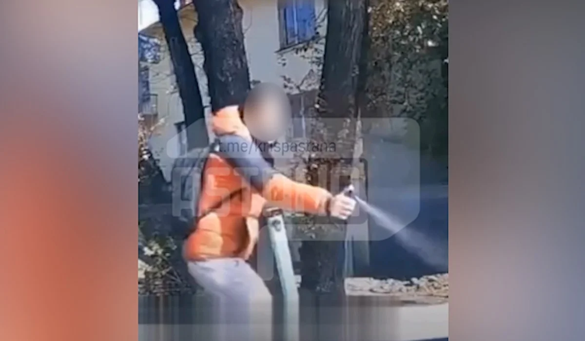 Самокатчик распылил перцовку в лицо водителю во время ссоры в Алматы (ВИДЕО)
