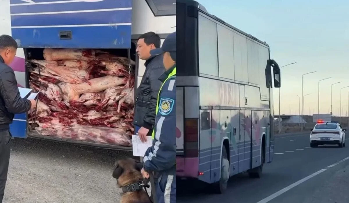 Пассажирский автобус с забитым мясом багажником задержали на трассе в Жетысу (ВИДЕО)