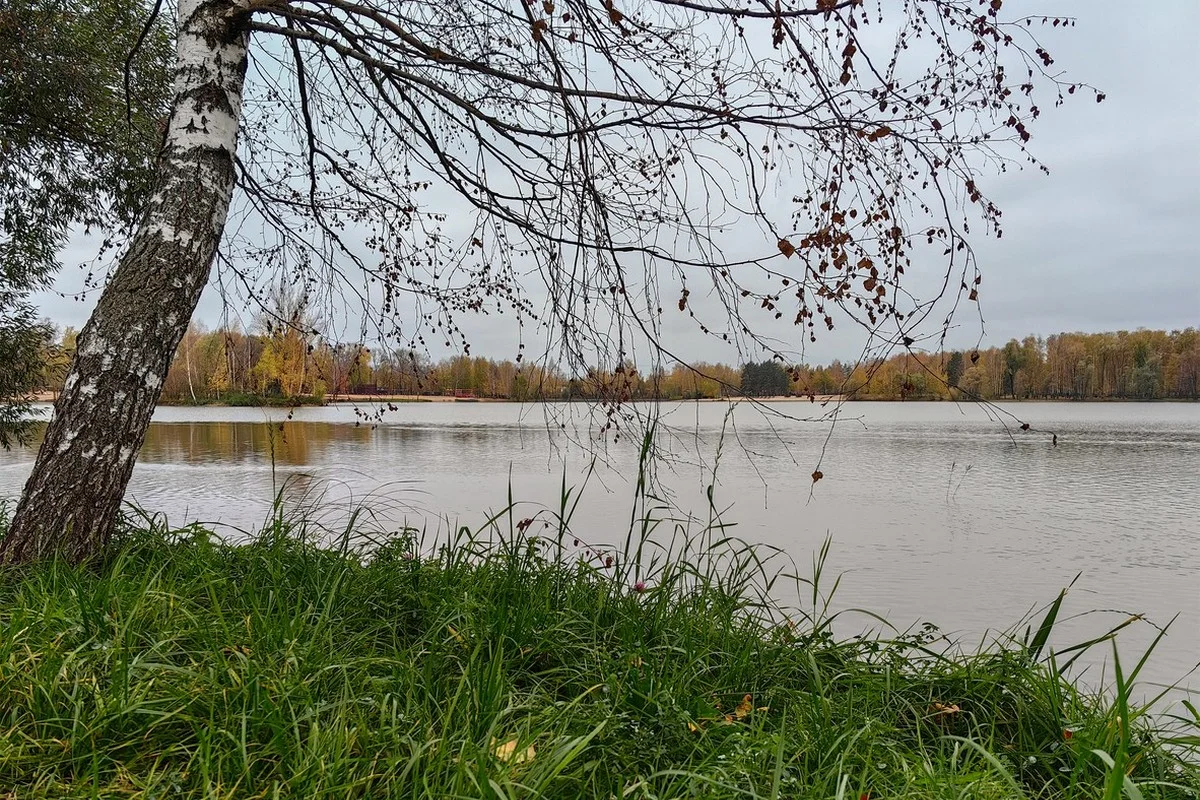 Штормовое предупреждение объявили по всему Казахстану на 25 октября