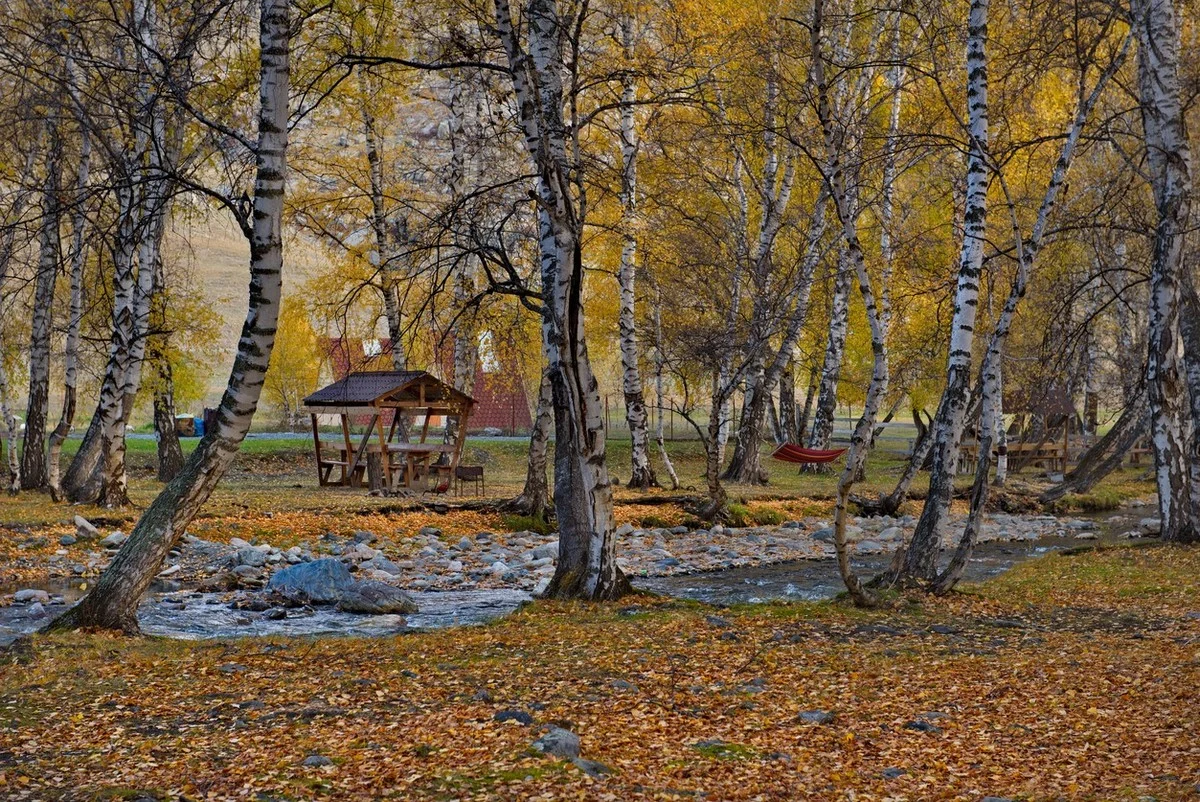 Дожди и туман, на юге сохраняется тепло: прогноз погоды в Казахстане на 25 октября