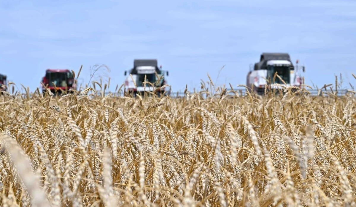 В Казахстане намолочено 26,9 млн тонн зерна – Минсельхоз