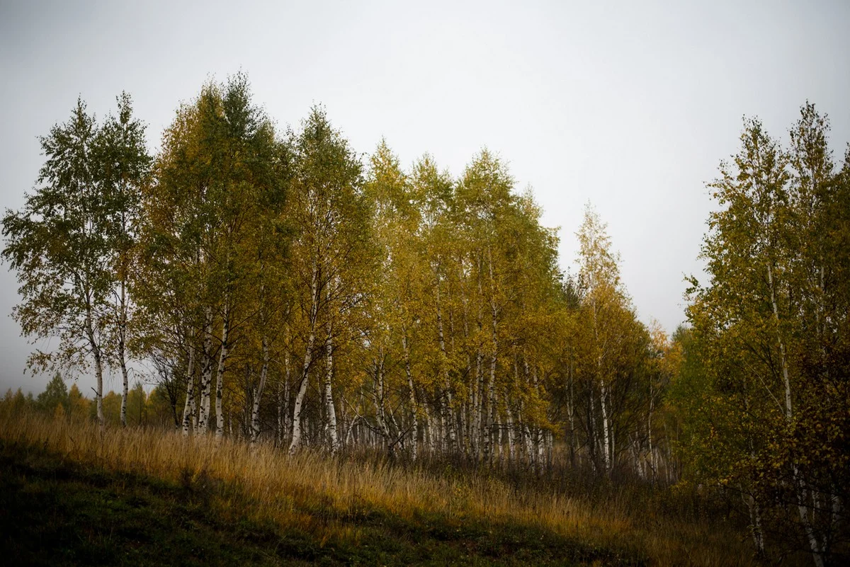 Штормовое предупреждение объявили в 15 регионах Казахстана на 29 октября