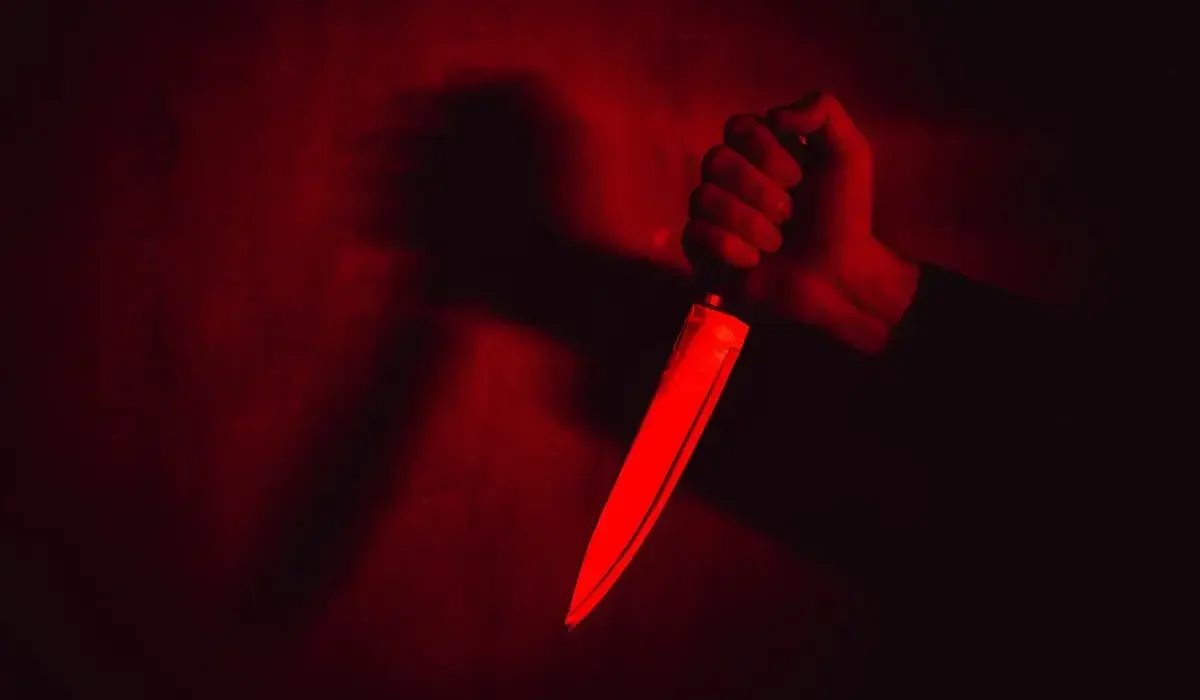 Мужчина 19 раз ударил ножом экс-жену и пытался убить брата в ЗКО