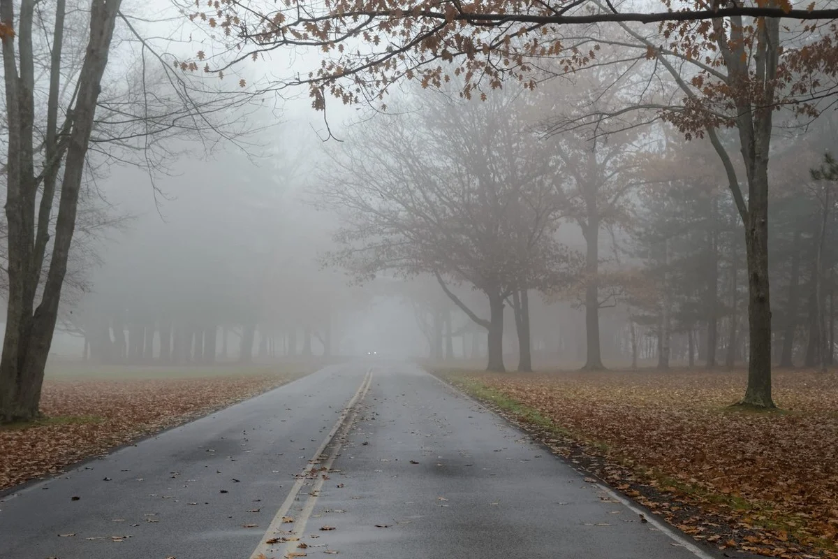 В Казахстане 31 октября дожди и туман, на востоке и в центре заморозки