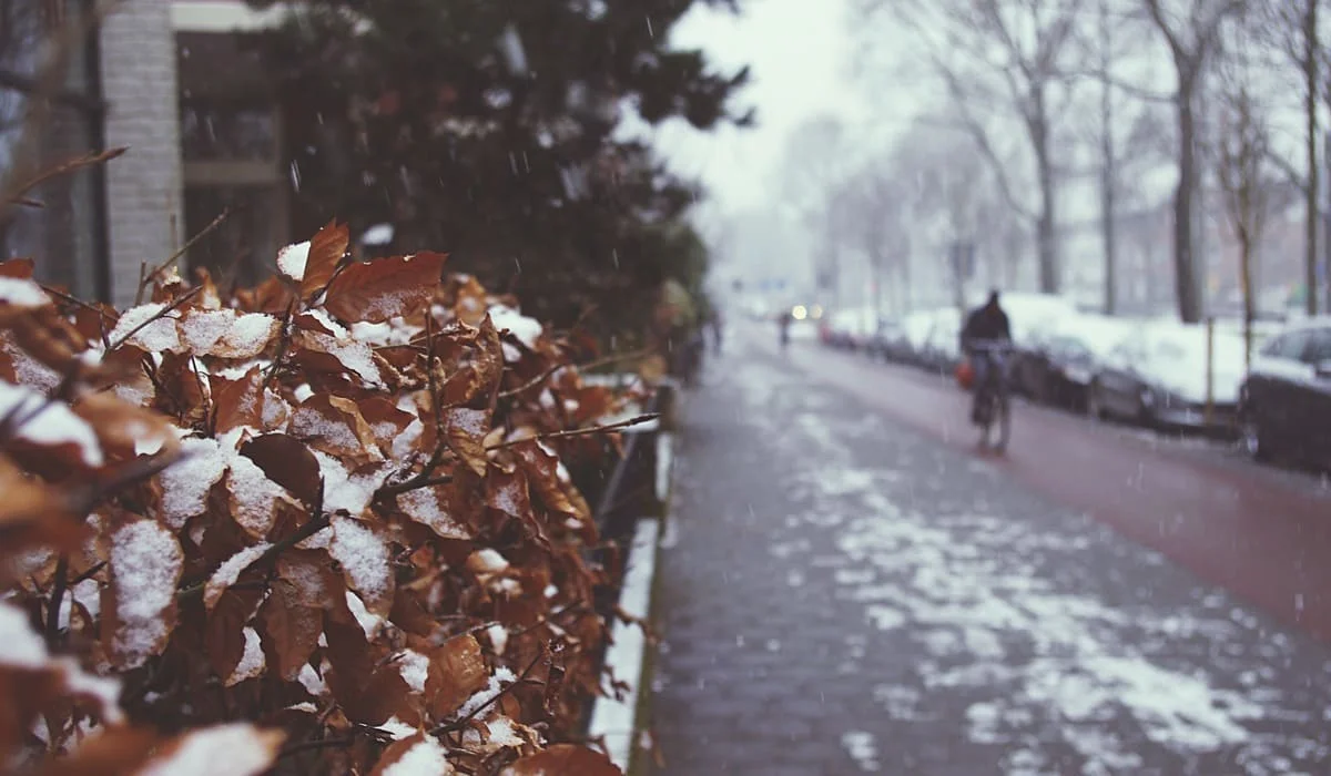 Северный циклон принесет в начале ноября в Казахстан снег, метели и морозы