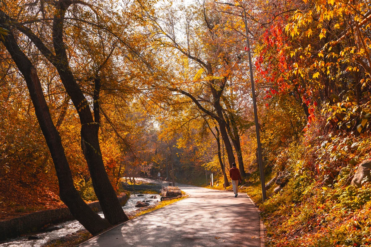 Погода в Казахстане 2 ноября: дожди на севере и западе, сухо на юге и востоке
