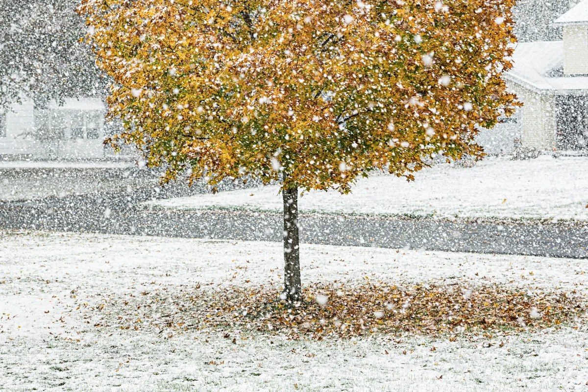 Метели и гололед: штормовое предупреждение объявили в Казахстане на 4 ноября