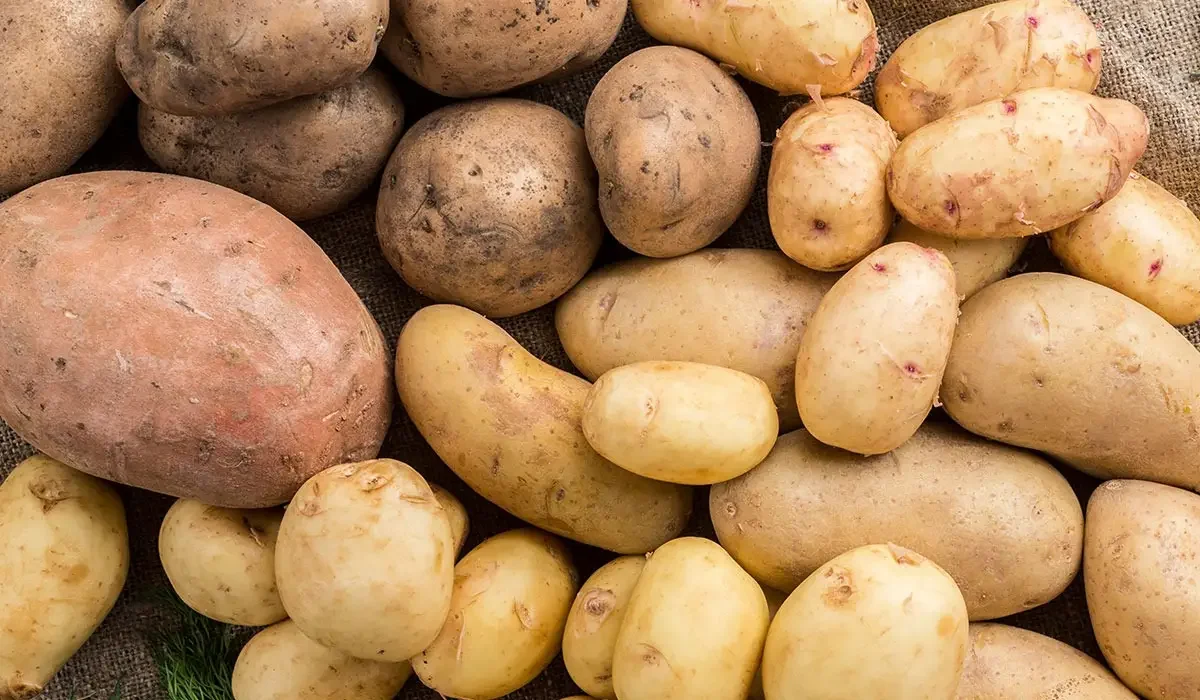 Дефицита картофеля в Казахстане не будет, уверяют в Минсельхозе
