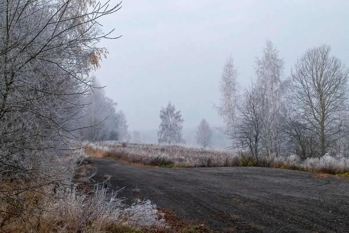 Гололед и туман: в каких регионах Казахстана объявили штормовое предупреждение