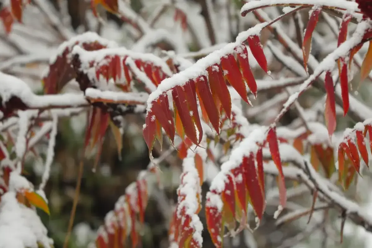 Какая погода ждет казахстанцев 7 ноября