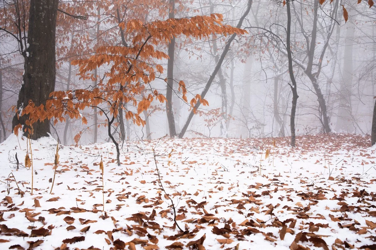 Метели, гололед и туман: штормовое предупреждение объявили в Казахстане