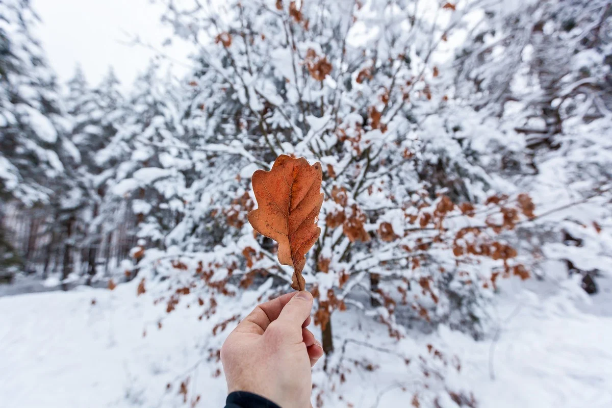 Погода в Казахстане 8 ноября: метели накроют север и центр страны