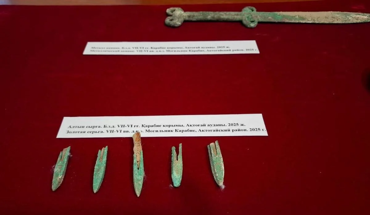 Нетронутое погребение сакского воина нашли в Карагандинской области (ФОТО)