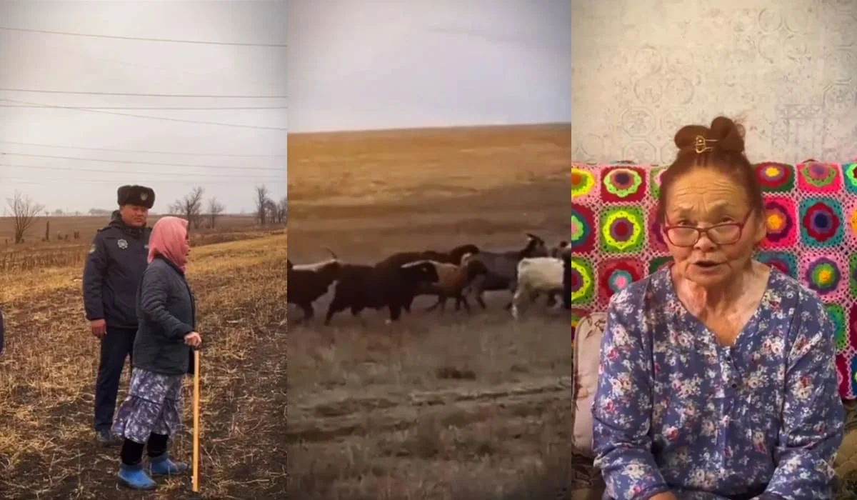 Пожилая актюбинка благословила полицейских, вернуших ей пропавших коз и овец