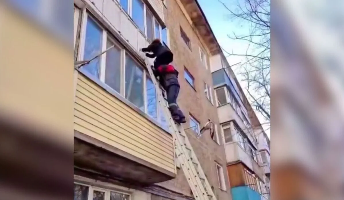 Мальчик едва не погиб, спасая кошку в Караганде (ВИДЕО)