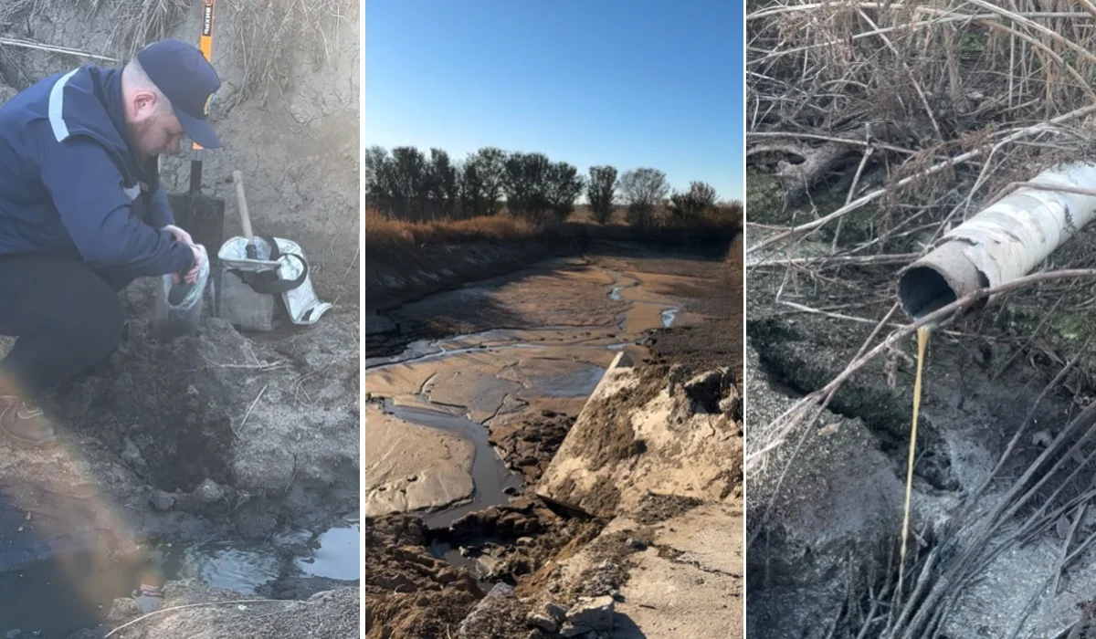 Свиноферму наказали за грязные сбросы и нарушения эконорм в ВКО (ВИДЕО)