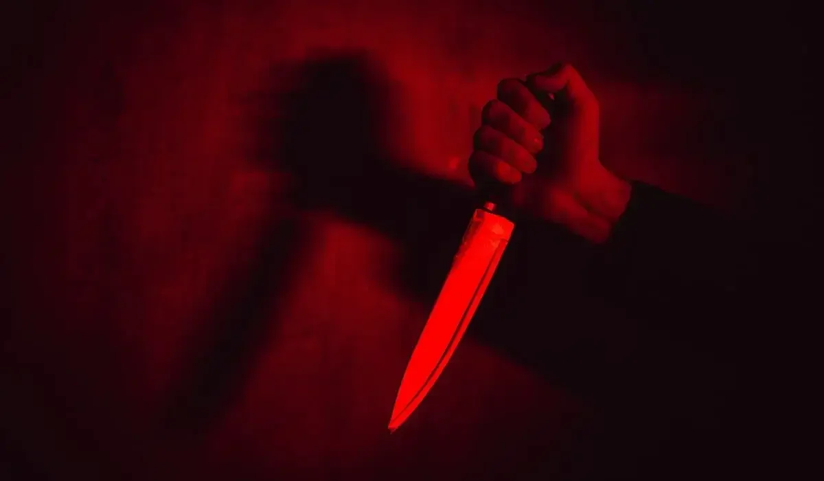 «Нанес 12 ударов ножом»: сельчанин жестоко убил женщину в Павлодарской области