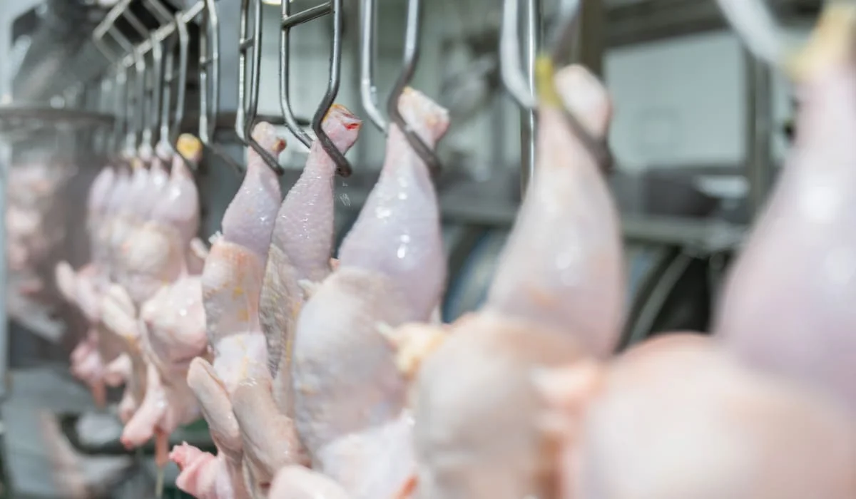 20 тонн мяса птицы из России не пустили в Казахстан: груз вернули на границе