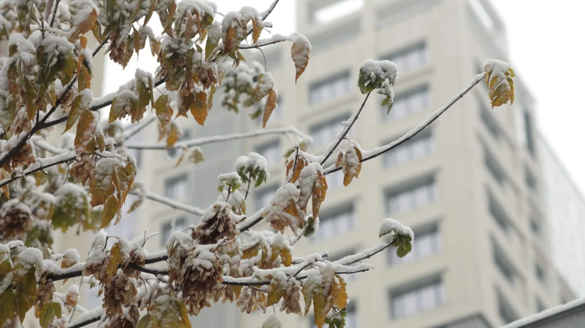 Метели, туманы и гололед: в Казахстане ожидается ухудшение погоды