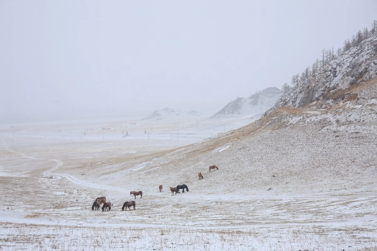 Туман и метели: штормовое предупреждение объявили в Казахстане на 20 ноября