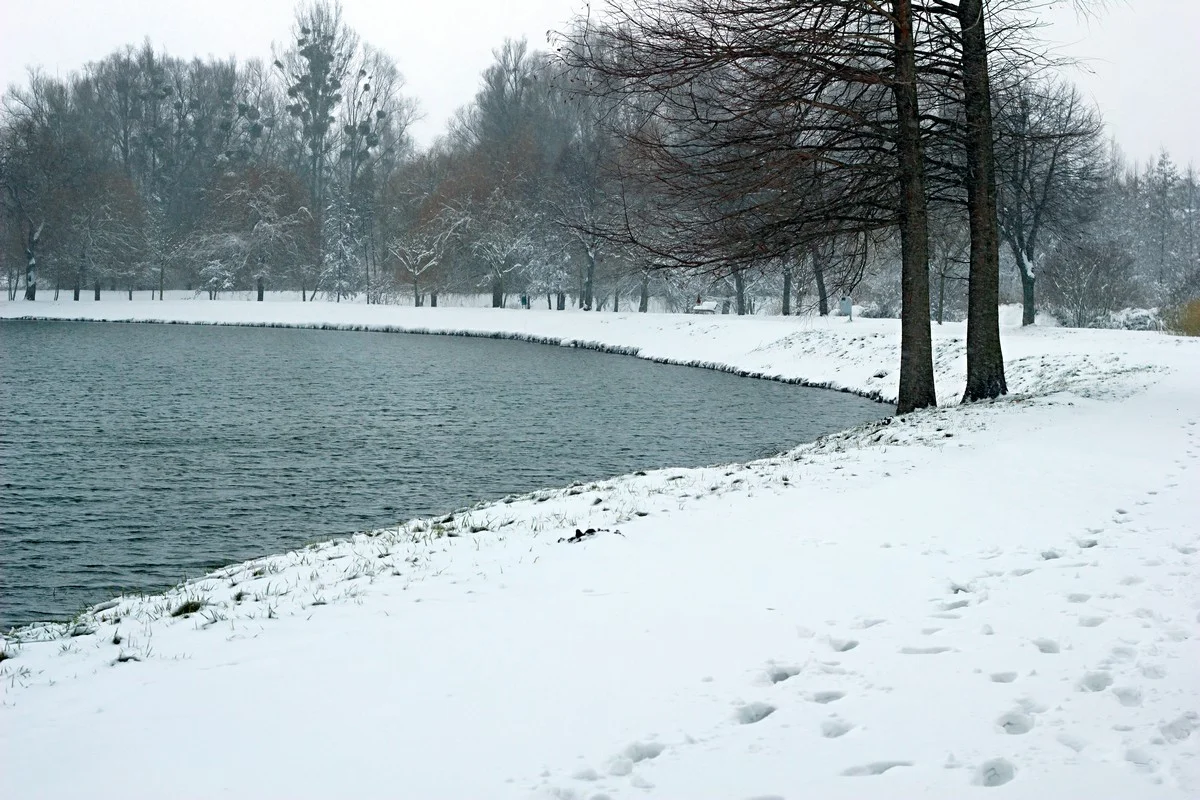 Прогноз погоды по Казахстану на 20 ноября: снег, туман и гололедица