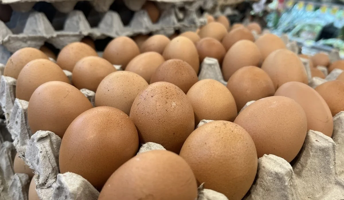 Незаконный ввоз крупной партии яиц из России пресекли в Казахстане