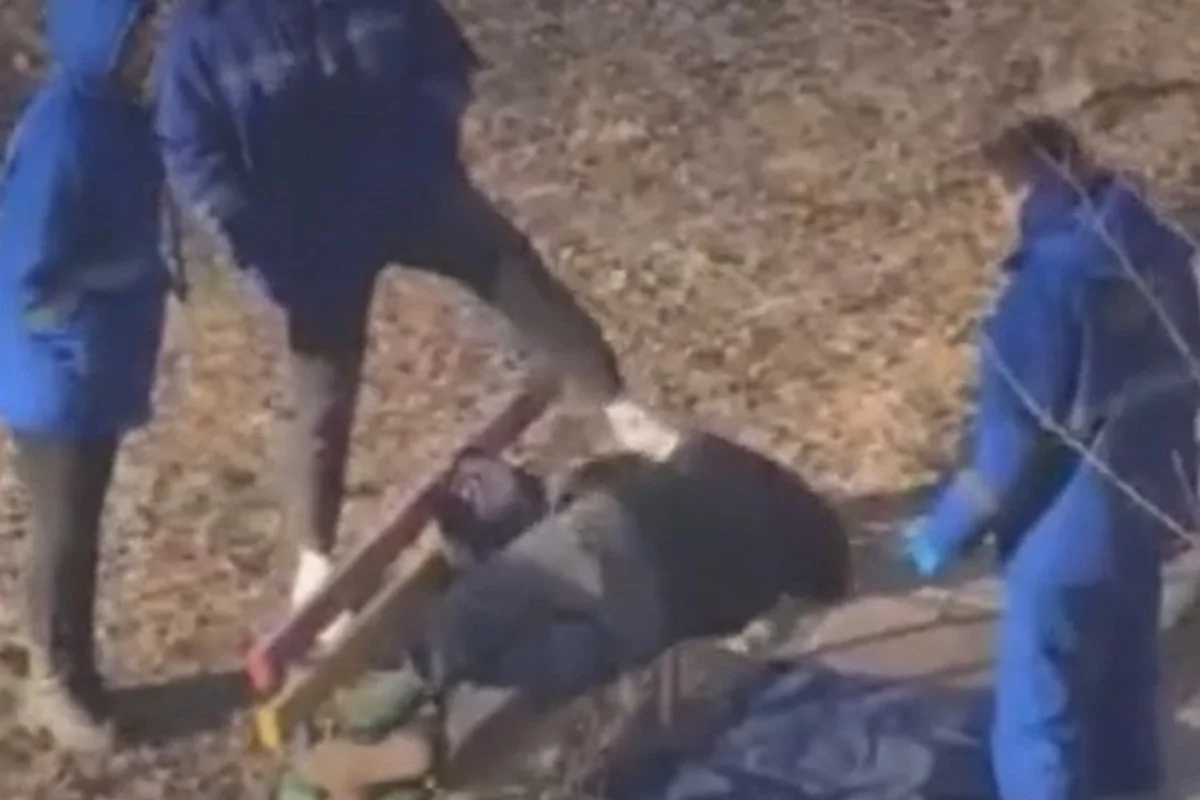Видео с медиками, пинком скидывающими лежащего на скамейке мужчину, не казахстанское – Минздрав РК