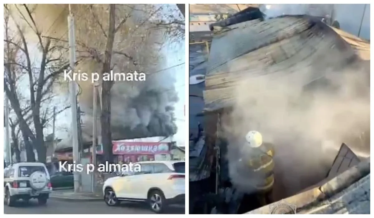 Пожар на Сейфуллина в Алматы: огонь охватил магазин и СТО в частном секторе (ВИДЕО)