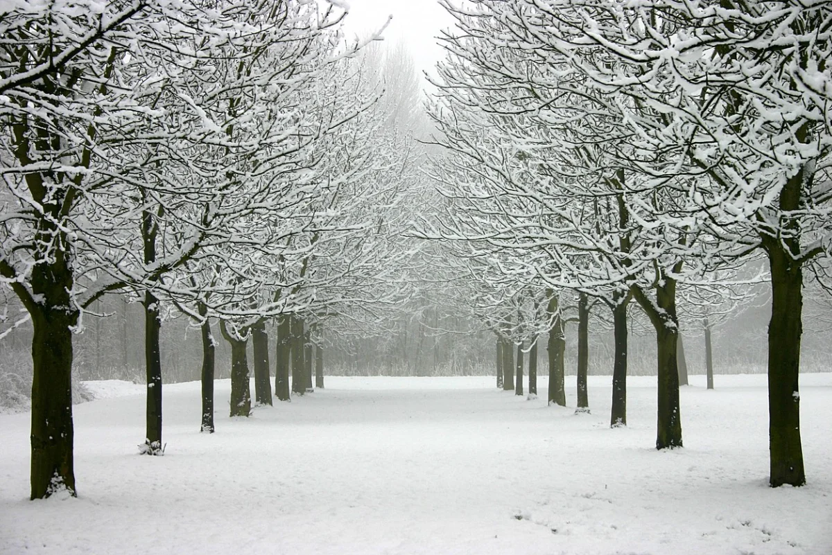 Метель и туман: штормовое предупреждение объявили на 28 ноября в Казахстане