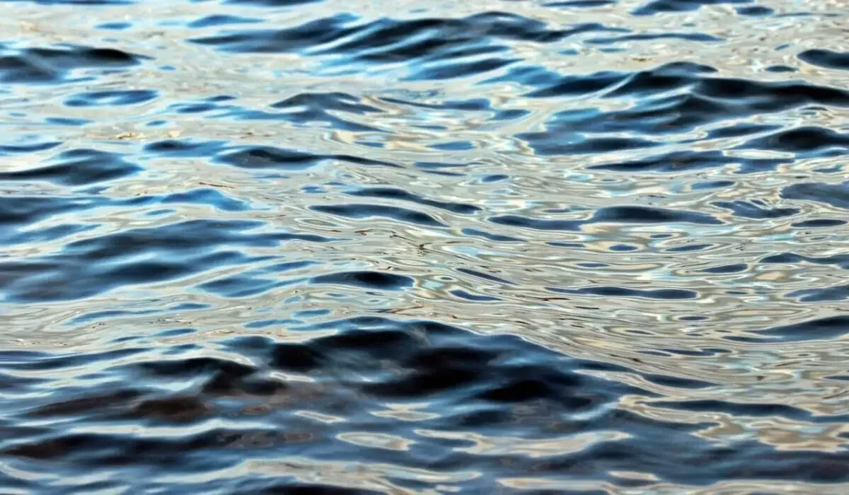 Мертвыми нашли пропавших подростка и мужчину из Актобе