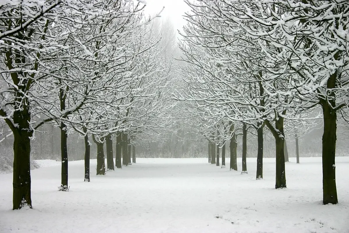 В каких регионах Казахстана объявили штормовое предупреждение