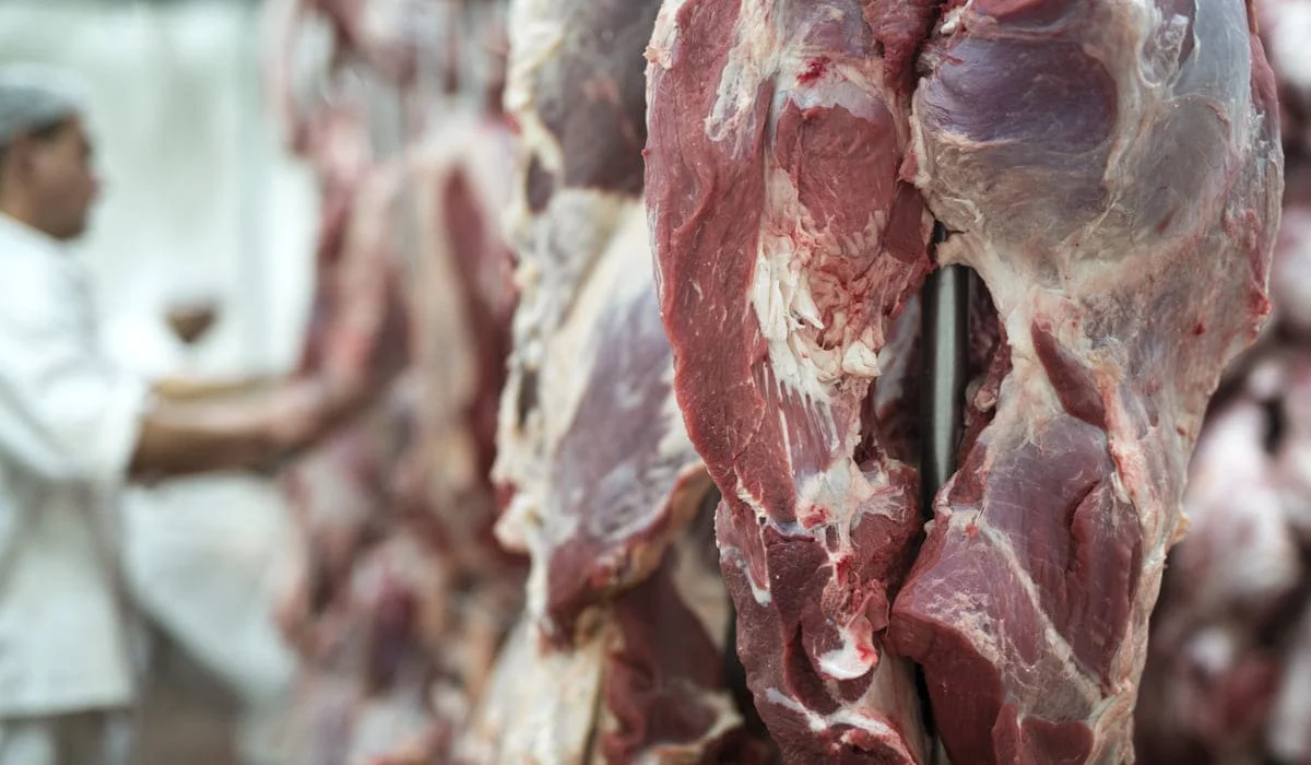Казахстан установил квоты на экспорт говядины до конца 2025 года